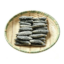 斯里蘭卡禿參45-48支